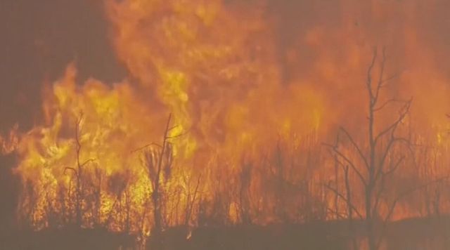 Incendi a Pantelleria, case evacuate e vip in fuga