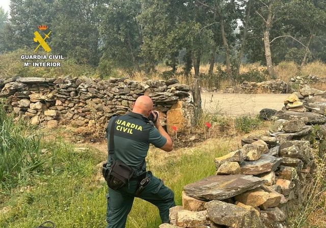 ¿Quién ha provocado los incendios en Castilla y León? Estos son los perfiles de los presuntos autores