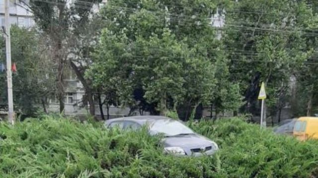 Așa ceva nu ai mai văzut! Un șofer din Bălți și-a parcat mașina în tufiș