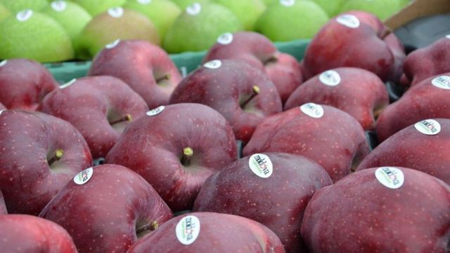 Peste 20 de tone de mere moldovenești au fost întoarse din Federația Rusă