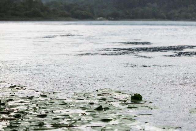 Water level in Papanasam, Manimuthar dams