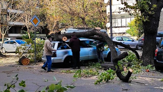 Наводнени улици, закъсали коли и паднали дървета в Русе