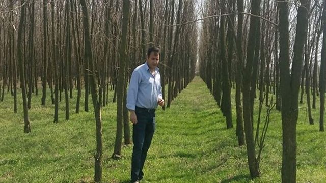 Un fermier a plantat 40.000 de copaci pe terenul său. Garda de Mediu a mers acolo și l-a amendat