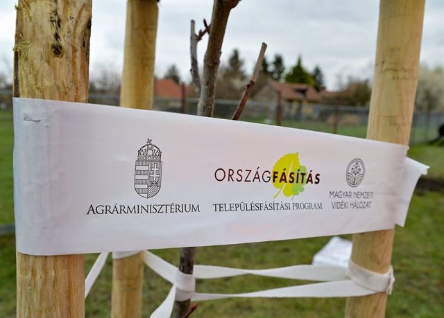 Nagy István: Már 184 millió új fát ültettünk erdeinkben