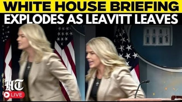 Your mom did: Karoline Leavitt snaps at reporter over Trump-Putin meeting question