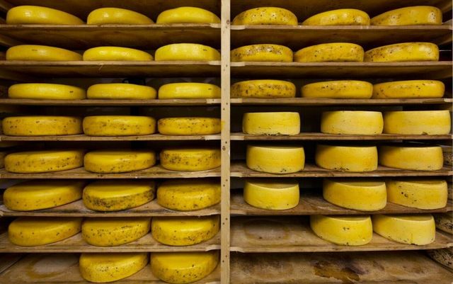 Un italian a murit strivit de roțile de brânză din din depozitul său. Fiecare roată are 40 de kilograme