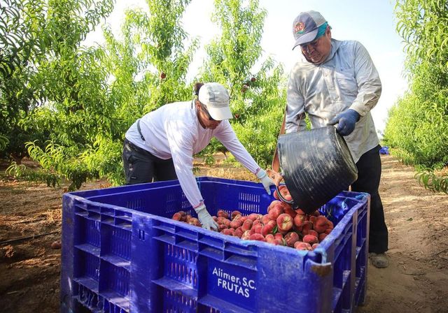 «Hay que preocuparse más por cómo viven y no por dónde rezan»