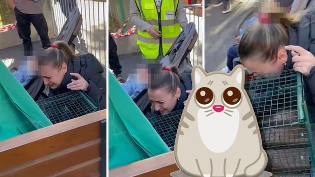 Momentul emoționant în care o stăpână îl revede pe motanul Thomas, salvat din blocul din Rahova afectat de explozie