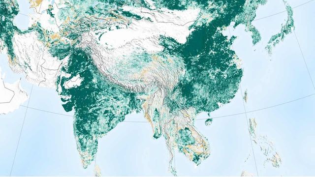 India, China Leading Global Greening Effort, Says NASA Study