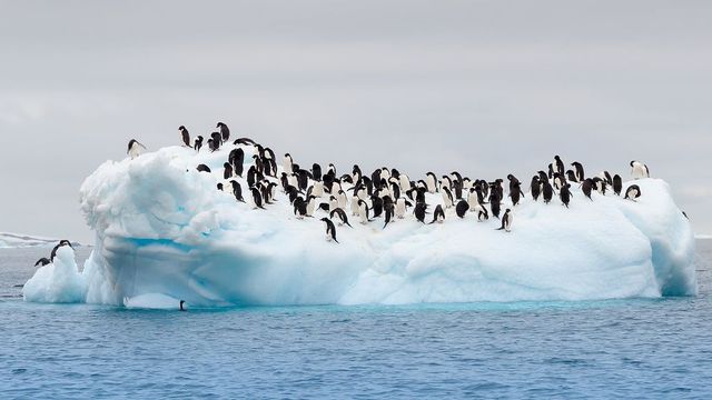 Soha nem olvadt ilyen gyorsan az Antarktisz jege