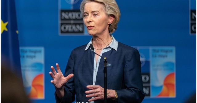 Gheorghe Piperea, moțiune de cenzură împotriva Ursulei von der Leyen