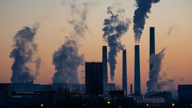 Poluarea aerului a provocat 6,7 milioane de decese în întreaga lume în 2019, între care 476 000 de nou-născuți