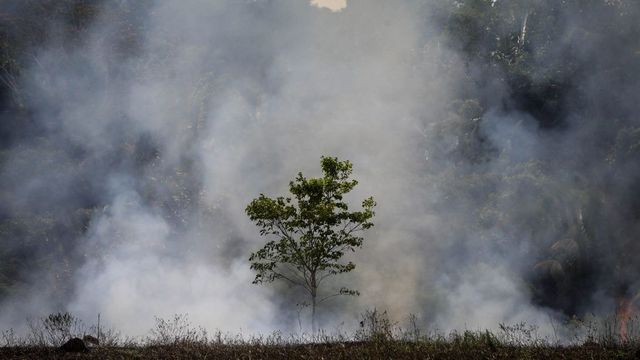 Drámaian megnövekedett a légzési problémákkal kezelt gyerekek száma az amazóniai erdőtüzek miatt