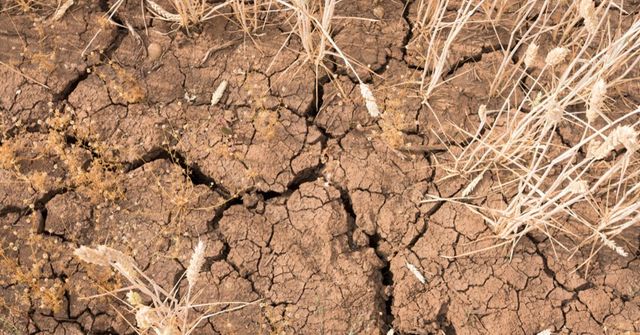 Sucho v Česku: třetina území je na nejhorších stupních, tropické teploty situaci ještě ztíží
