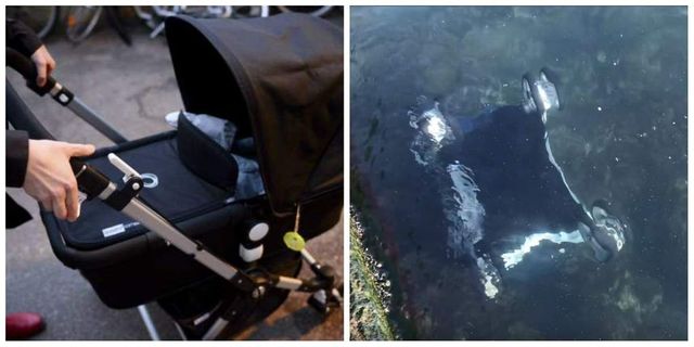 Un copil aflat în căruț a fost aruncat în Marea Neagră de vântul puternic