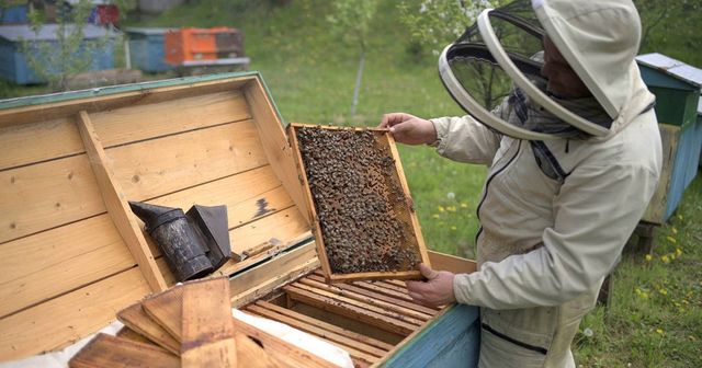 Megszüntette a kormány az ukrán méz behozatalának tilalmát