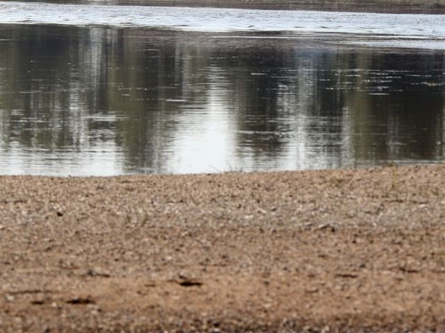 Жената, влязла в река Дунав да търси телефона си, беше открита жива и здрава