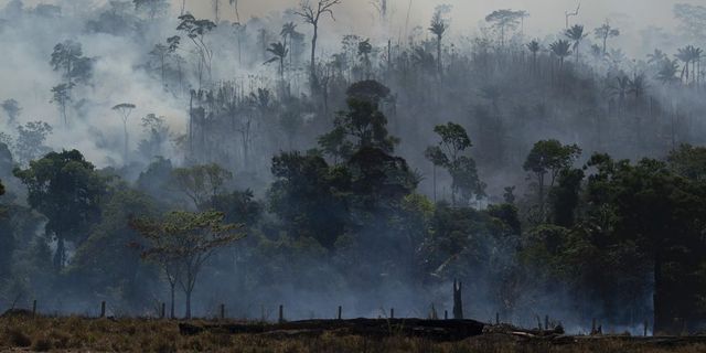 Hét dél-amerikai ország kötött megállapodást Amazónia védelmére