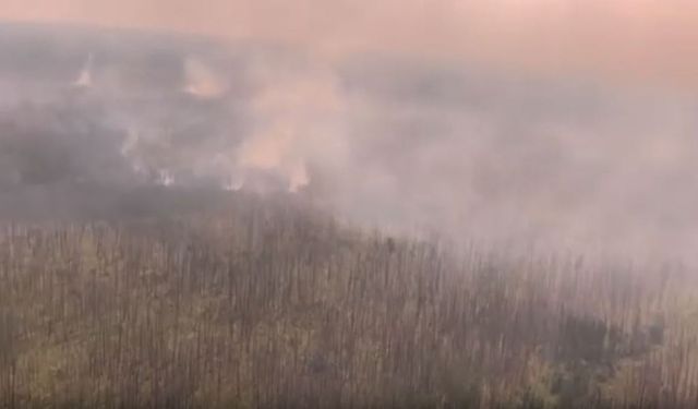 Suprafața uriașă pe care s-au extins incendiile de vegetație din Siberia