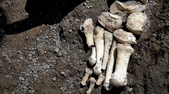 Scoperti resti più antichi Homo sapiens in Europa