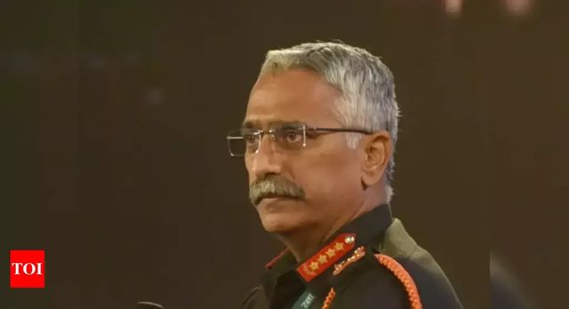 India Facing Renewed Challenges Along its Borders, Says Army Chief Gen Naravane