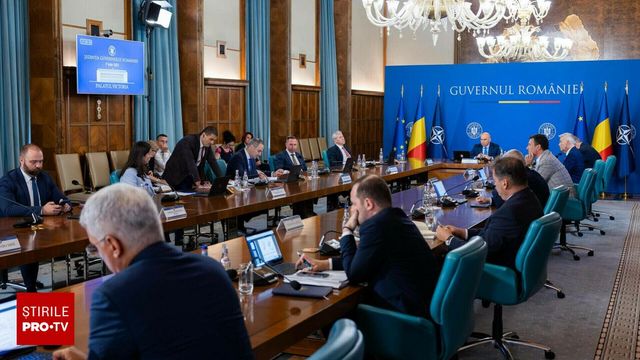 Codul silvic, adoptat în ședință extraordinară de guvern