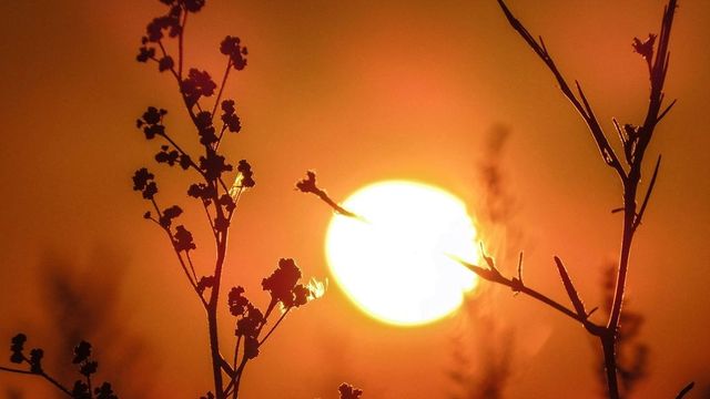 Un val de caniculă vine peste țară: Meteorologii au emis cod galben, valabil de mâine