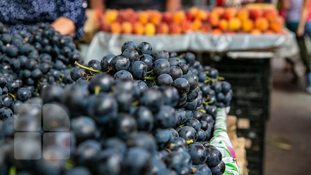 Vor fi majorate cotele de export în UE pentru strugurii, prunele și cireșele moldovenești