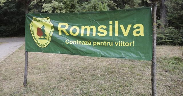 Prime de 46 de milioane de lei acordate la Regia Națională a Pădurilor Romsilva