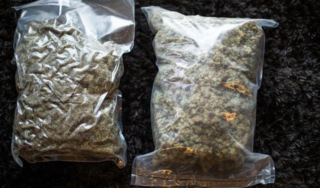 Tizenegy kiló marihuánát találtak egy autó ülése mögé rejtve