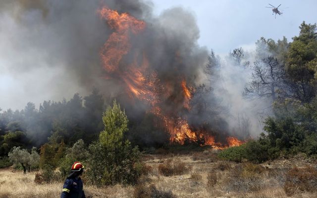 Sute de turiști de pe insula grecească Samos, evacuați din cauza unui incendiu de pădure