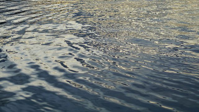 Un băiat de numai 13 ani a murit subit, după ce s-a înecat într-un lac din Drochia