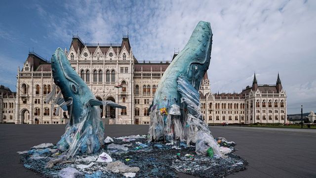 Életnagyságú bálnaszobrokkal figyelmeztet a Greenpeace a műanyagszennyezésre