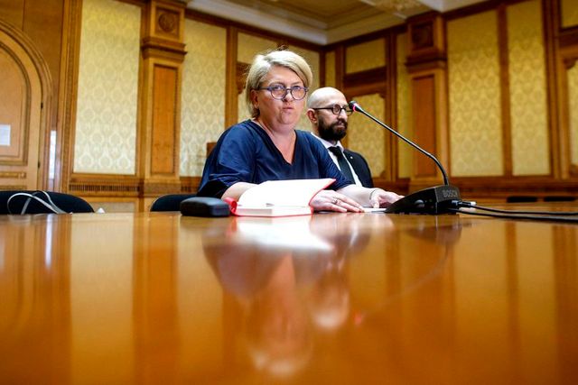 Doina Gradea, audiată în Comisia de cultură a Camerei Deputaților
