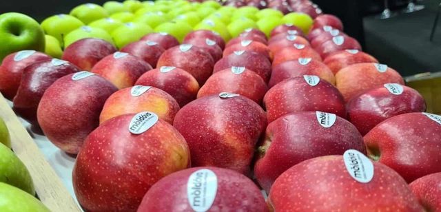 Marea Britanie liberalizează toate taxele vamale aplicate la importul produselor agricole din Republica Moldova