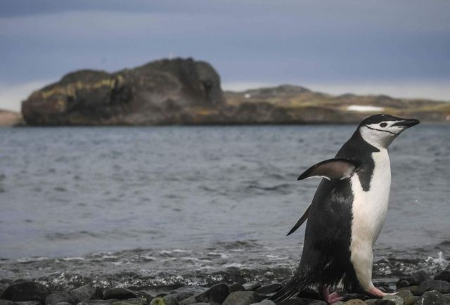 Antarctica a înregistrat joi un record de temperatură: 18,3 grade Celsius