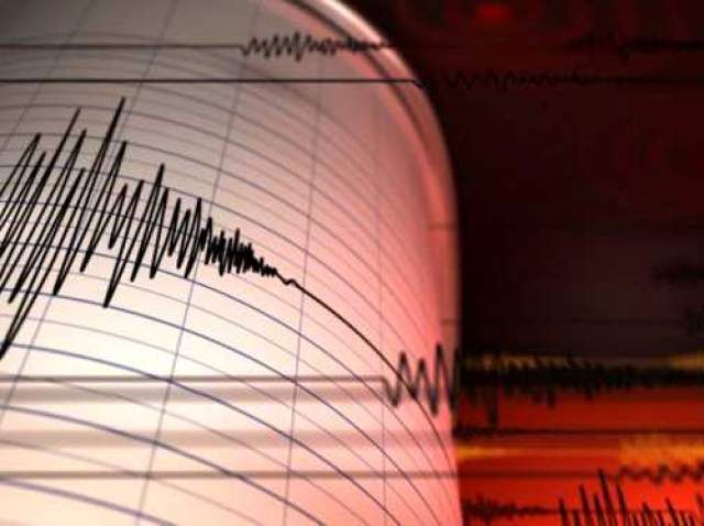 Un cutremur cu magnitudinea 3,1 a avut loc duminică în județul Vrancea