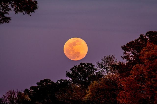 Luna Piena oggi 29 settembre 2023, a che ora vedere la Superluna del Raccolto e perché si chiama così