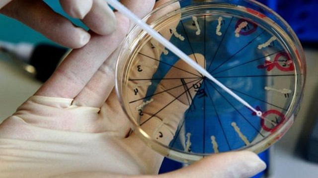 Un laborator din Rusia care deține mostre de viruși precum Ebola, HIV și variolă, zguduit de o explozie