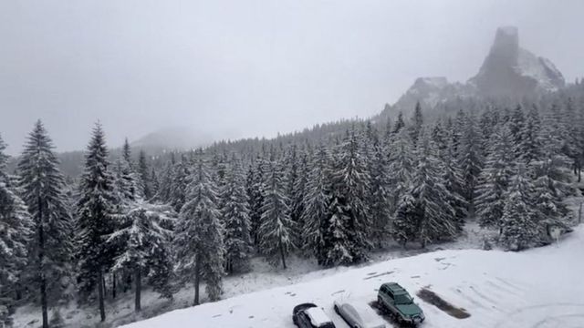 Ninge abundent în nordul județului Harghita