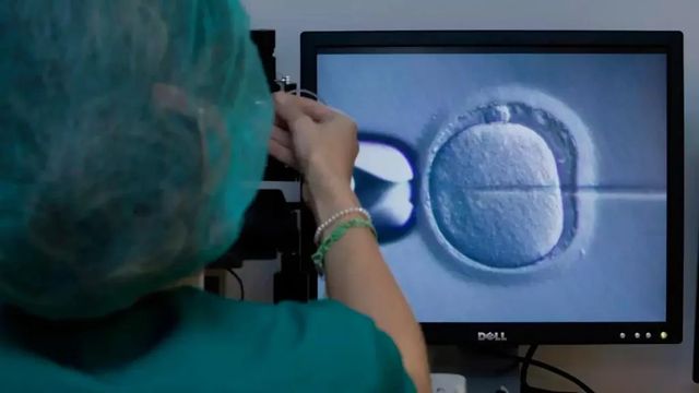 Una mutación en el esperma de un donante provoca al menos 10 casos de cáncer infantil en toda Europa
