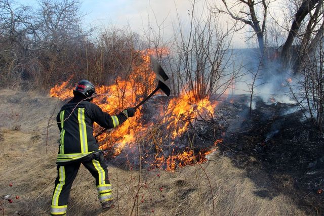 Incendiu de vegetație stins de pompieri în Cimișlia