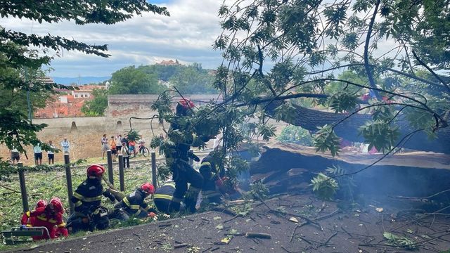 Tânăr de 27 de ani, mort după ce un copac a căzut peste el pe Aleea de sub Tâmpa, în Brașov