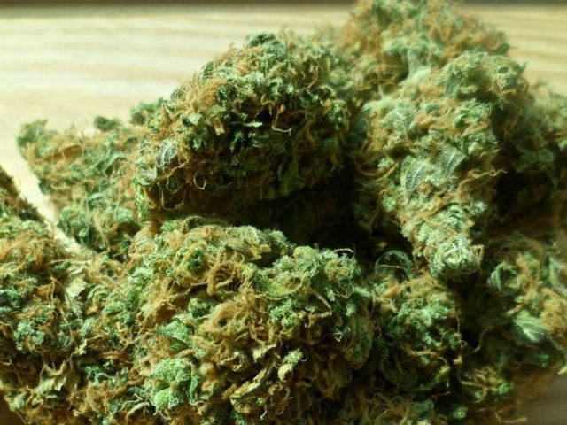 Разбиха лаборатория с марихуана за над 1 млн. лева в Русенско