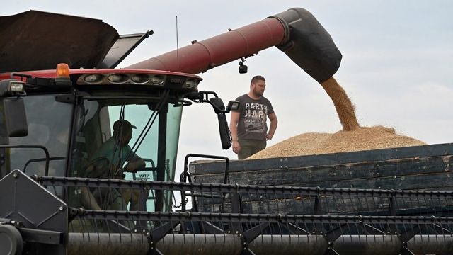 Az ukrán gabona is bekerült a nemzeti konzultáció kérdései közé