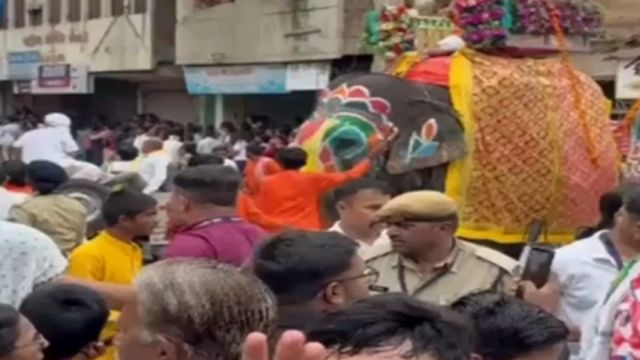 Man injured as elephant runs amok during Rath Yatra in Ahmedabad