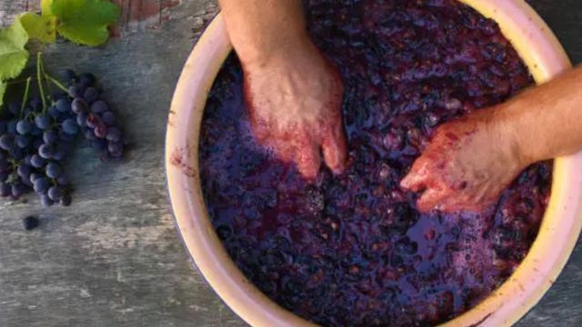 Polițist din Botoșani, prins de șef în timp ce făcea vin în curtea Poliției