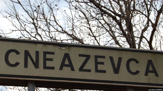 30 de porci au fost sacrificați în satul Cneazevca din cauza pestei