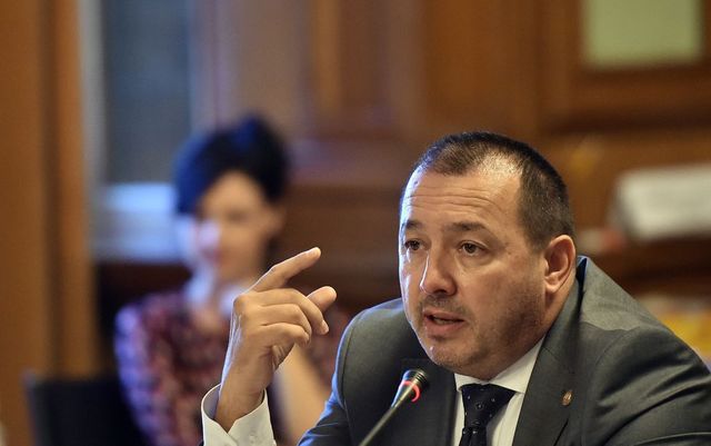 Cătălin Rădulescu îi cere lui Dăncilă să dea Ordonanța pe Coduri
