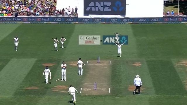 Kane Williamson run-out for duck after mid-pitch collision
